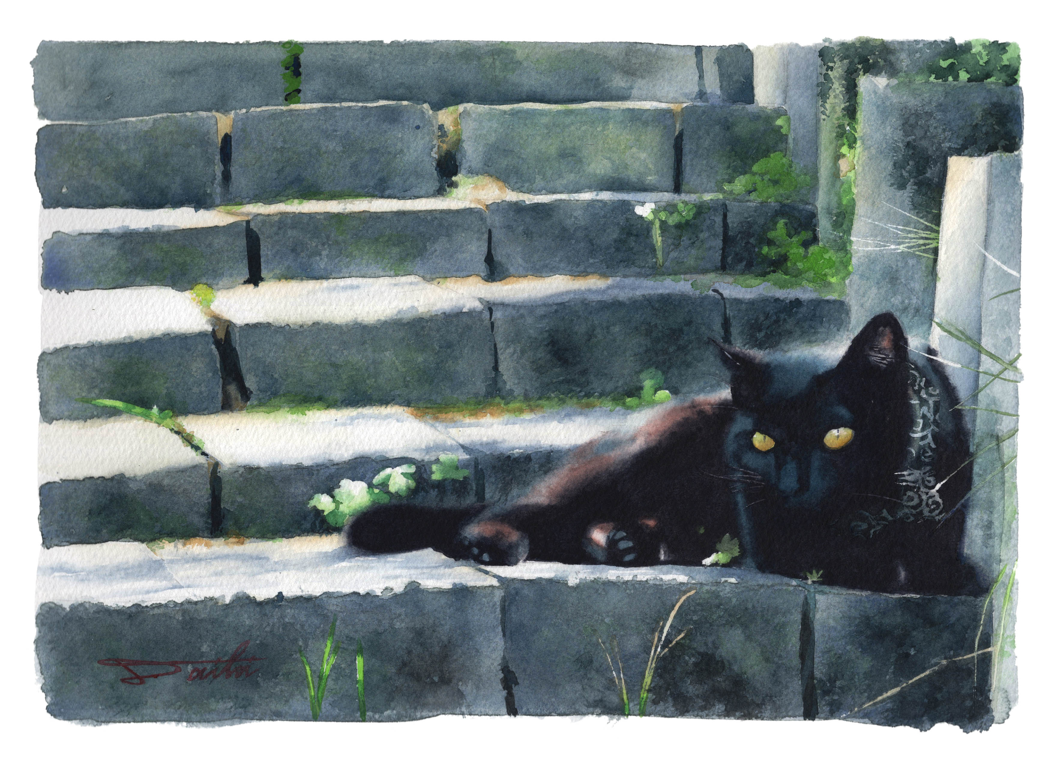 黒猫 ポジとネガ作品