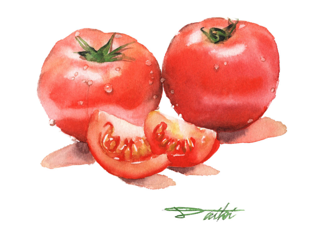 トマト 水彩野菜イラスト