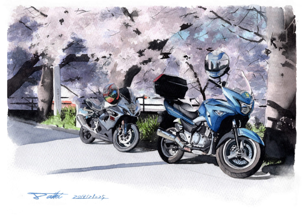 SUZUKI GSR250 GSX250R 桜 水彩バイクイラスト