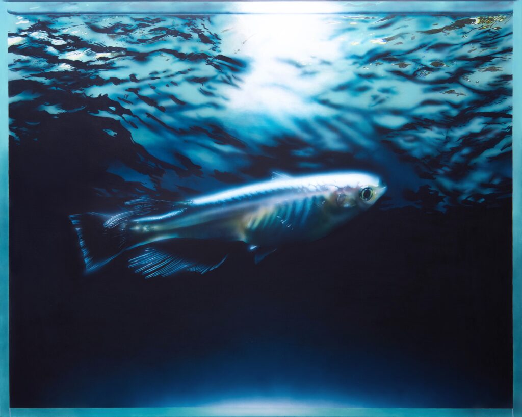 「Frameless」 F100 / アクリル / キャンバス #絵 #イラスト #illust #illustration #art #イラストレーター #painting #絵画 #acrylic #acrylicpainting #medaka #orizias #マリアージュロングフィン #mariagelongfin #japanesekillifish #japanesericefish #oryziaslatipes #メダカ #アクアリウム #熱帯魚