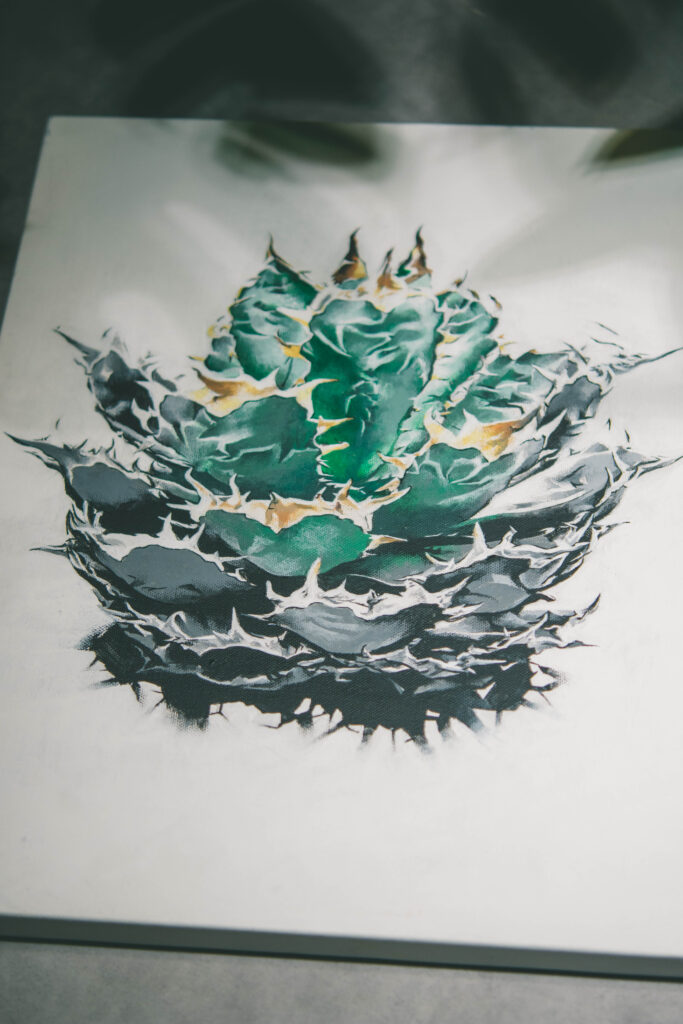 アガベ チタノタ 観葉植物 水彩イラスト ボタニカルアート