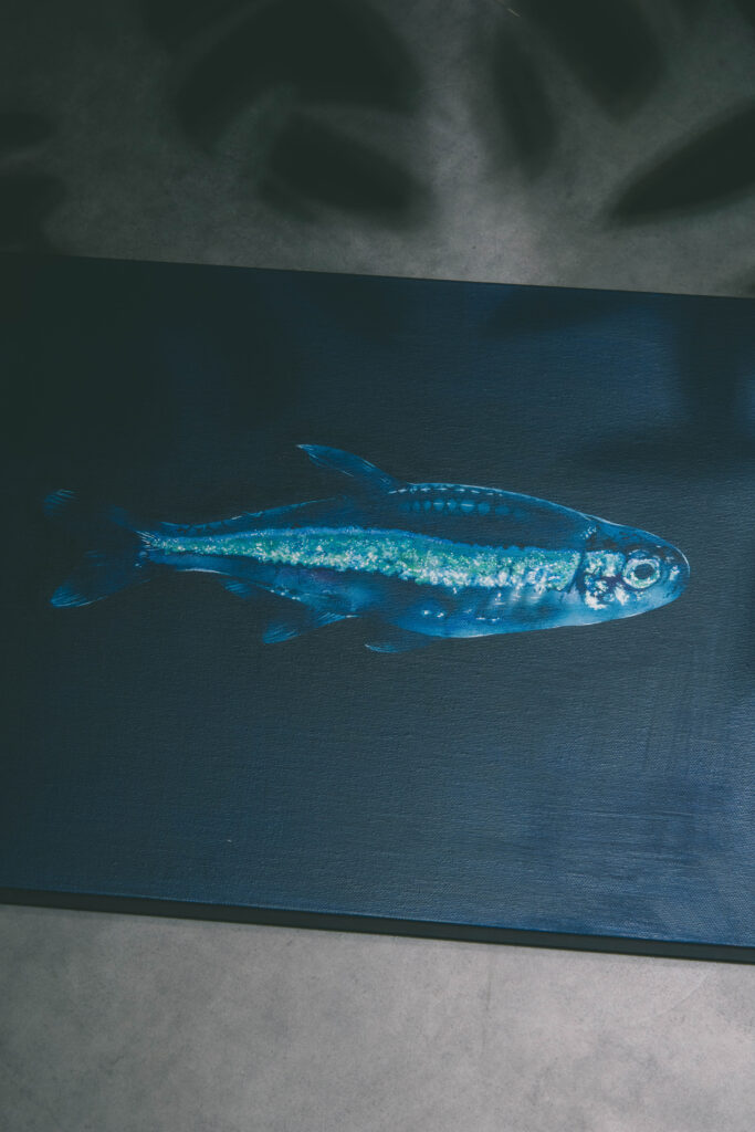 「Paracheirodon simulans」 F6 / アクリル / キャンバス #drawing #絵 #イラスト #illust #illustration #art #イラストレーター #painting #絵画 #automobile #acrylic #acrylicpainting #paracheirodonsimulans #greenneontetra #グリーンネオンテトラ #neontetra #魚 #熱帯魚