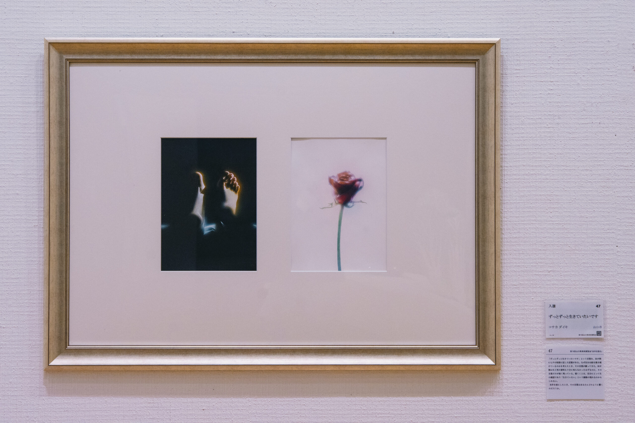 第78回山口県美術展覧会入選『ずっとずっと生きていたいです』#watercolor #透明水彩 #絵 #イラスト #illust #illustration #art #イラストレーター #水彩画 #painting #絵画 #アート #acrylic #リアルタッチ #ノスタルジック #個展 #展示 #exhibition #山口 #yamaguchi #山口県美術展覧会 #第78回山口県美術展覧会 #県美展