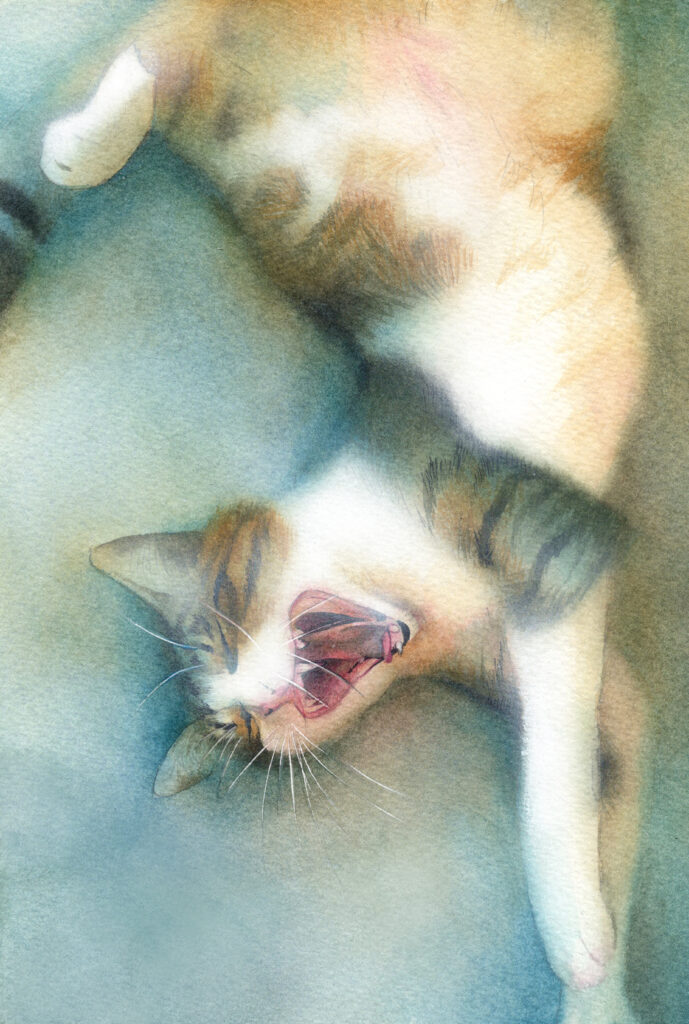 保護猫 アナログ水彩動物イラスト
