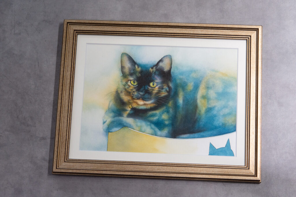 保護猫 アナログ水彩動物イラスト