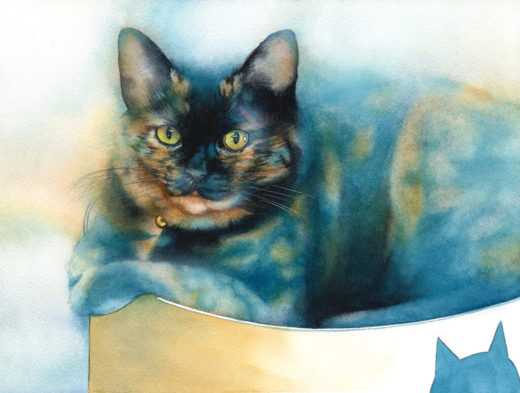 保護猫 アナログ水彩動物イラスト